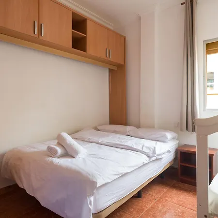 Daire Live Palmas Wind Rose