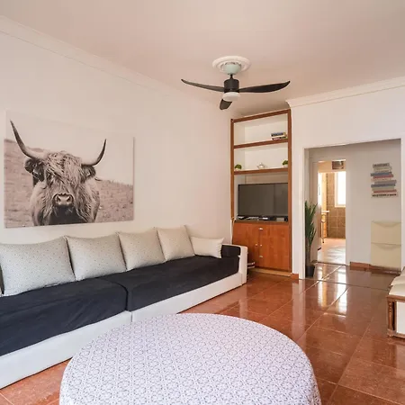 Live Palmas Wind Rose