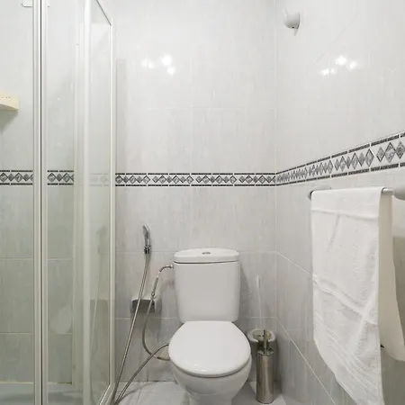 Daire Live Palmas Wind Rose *