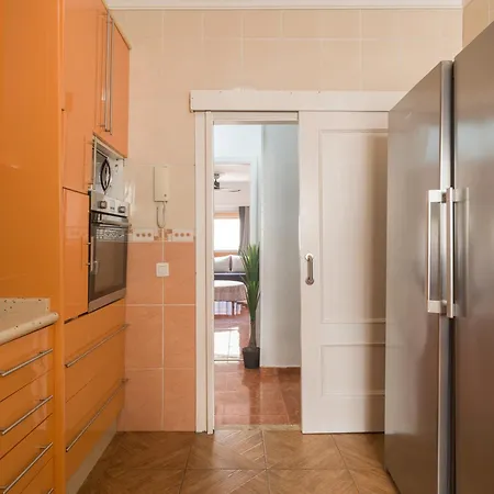 Live Palmas Wind Rose Las Palmas de Gran Canaria