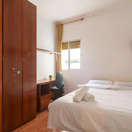 Live Palmas Wind Rose *