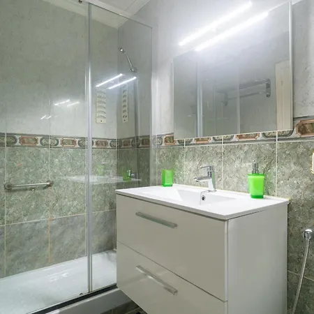 Live Palmas Wind Rose Las Palmas de Gran Canaria