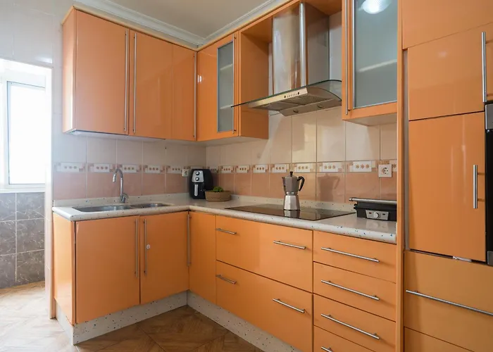 Live Palmas Wind Rose 라스팔마스