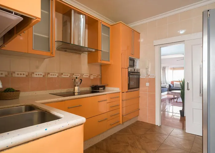 Live Palmas Wind Rose * 라스팔마스