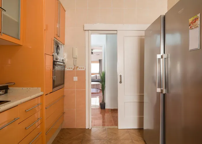 Live Palmas Wind Rose 라스팔마스