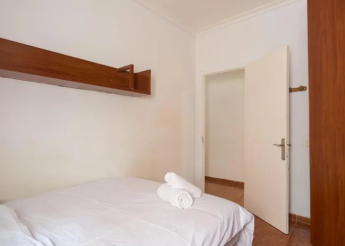 Live Palmas Wind Rose *