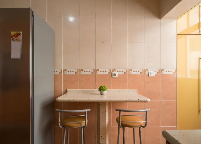 Live Palmas Wind Rose 라스팔마스