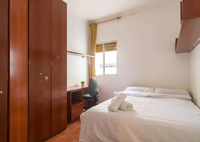 Live Palmas Wind Rose *