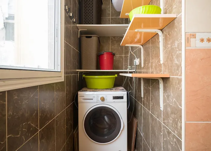 Live Palmas Wind Rose