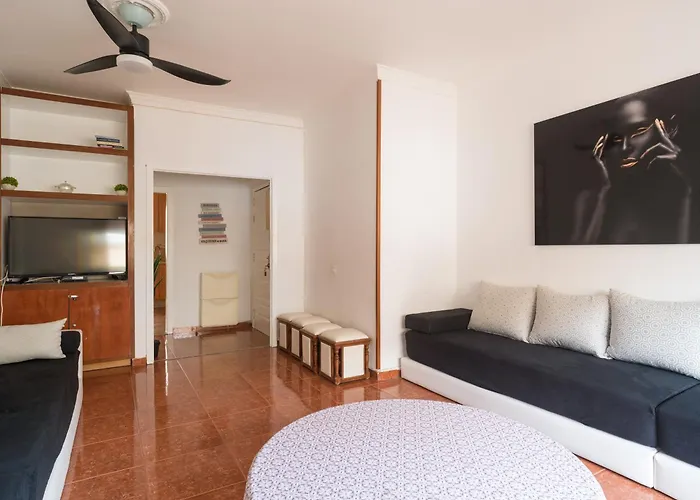 Live Palmas Wind Rose * 라스팔마스