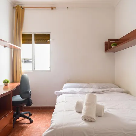 Live Palmas Wind Rose *