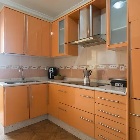 Live Palmas Wind Rose Las Palmas de Gran Canaria