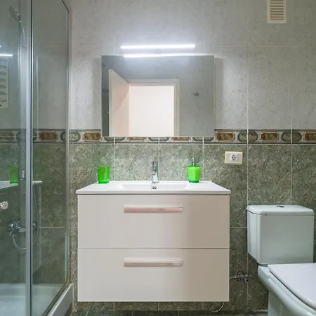 Live Palmas Wind Rose Las Palmas de Gran Canaria