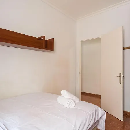 Live Palmas Wind Rose *