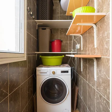 Live Palmas Wind Rose