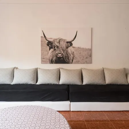 Live Palmas Wind Rose Apartment