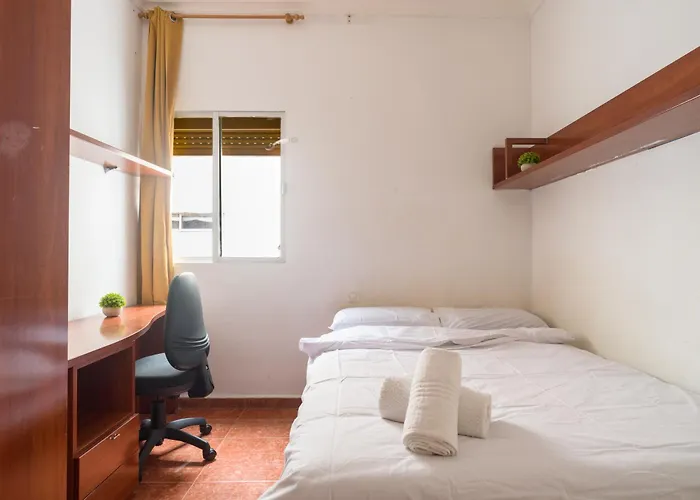 Live Palmas Wind Rose *