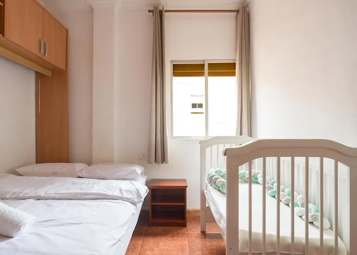 Live Palmas Wind Rose 大加那利岛拉斯帕尔马斯