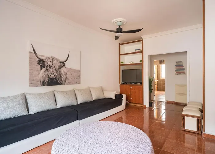 Live Palmas Wind Rose