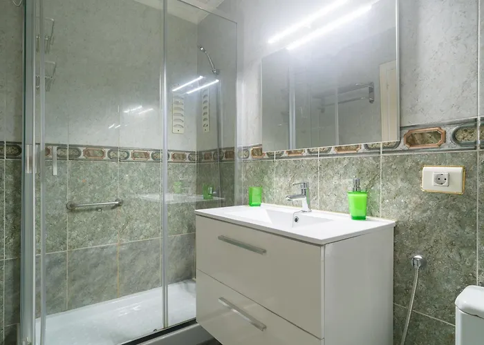 Live Palmas Wind Rose 大加那利岛拉斯帕尔马斯