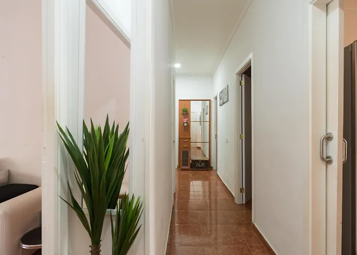 Live Palmas Wind Rose * 大加那利岛拉斯帕尔马斯